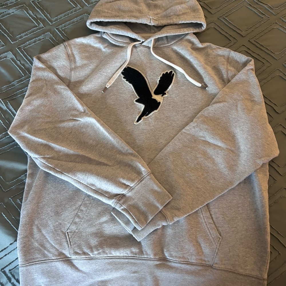 American Eagle Outfitters Light Gray Hoodie